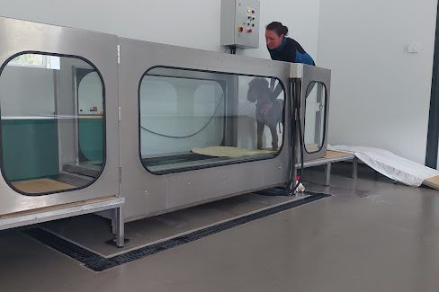 Dog Hydrotherapy Treadmill Aquatic Treadmill. Water Treadmill for dogs